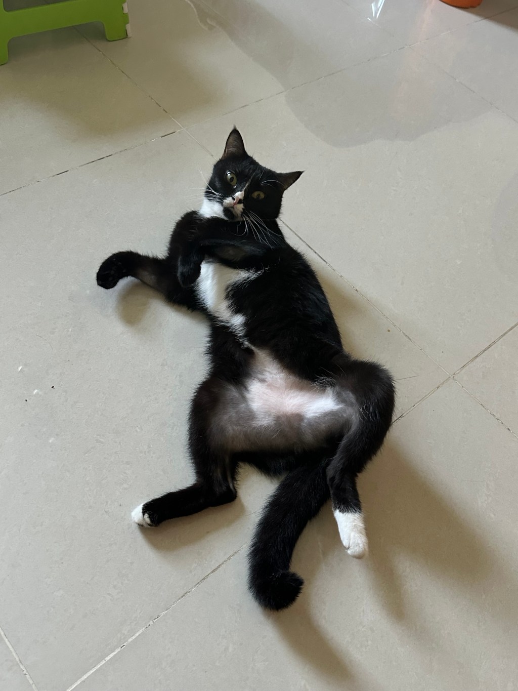 我跟蚊子勢不兩立